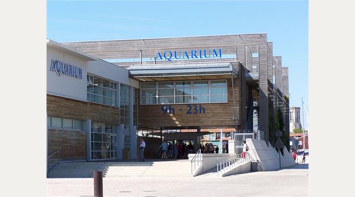 Aquarium de La Rochelle proche de l'Auberge** Les Charmilles à Sainte Soulle en Charente Maritime
